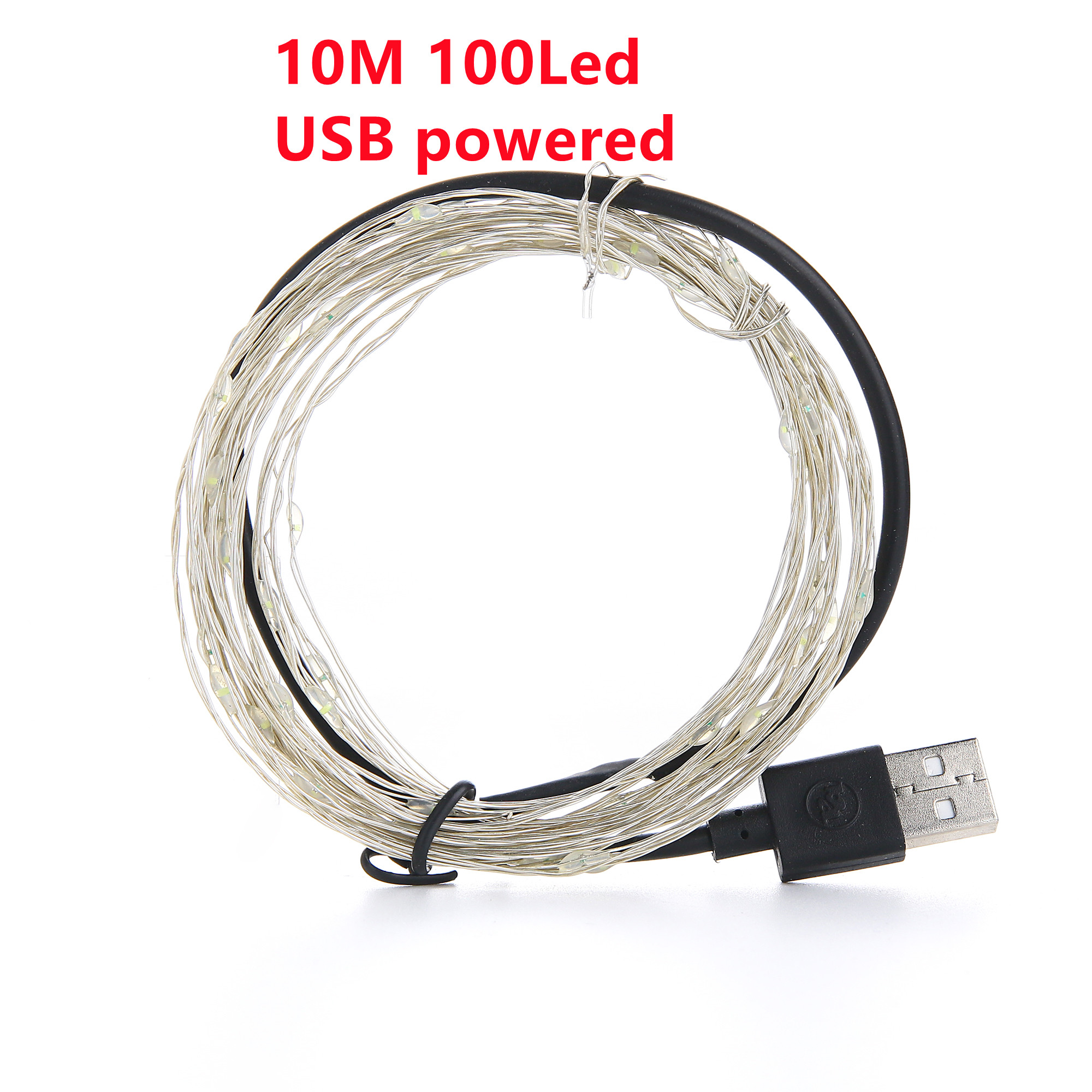 10M 100LED USB Type