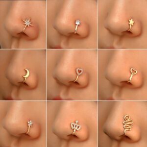 Fancy Nose Ring  for Women