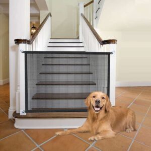 Safety Doors For Pets