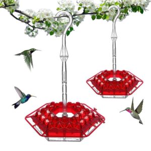 Beautiful Hummingbirds Outdoor Feeders