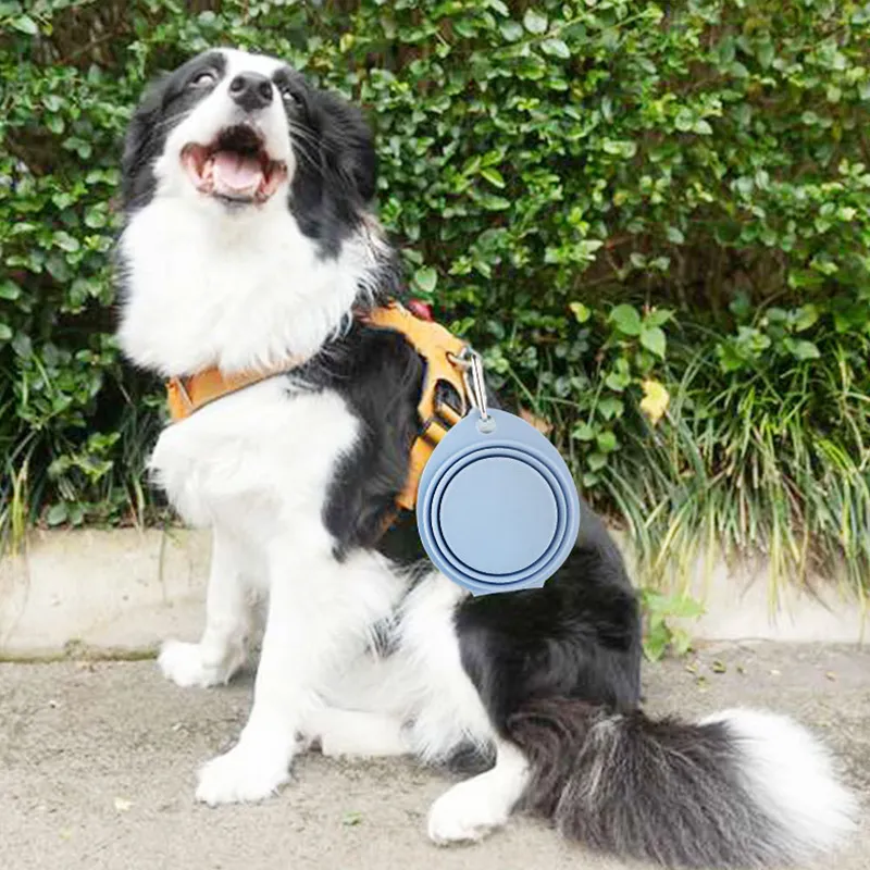 Travel Dog Dinner Set