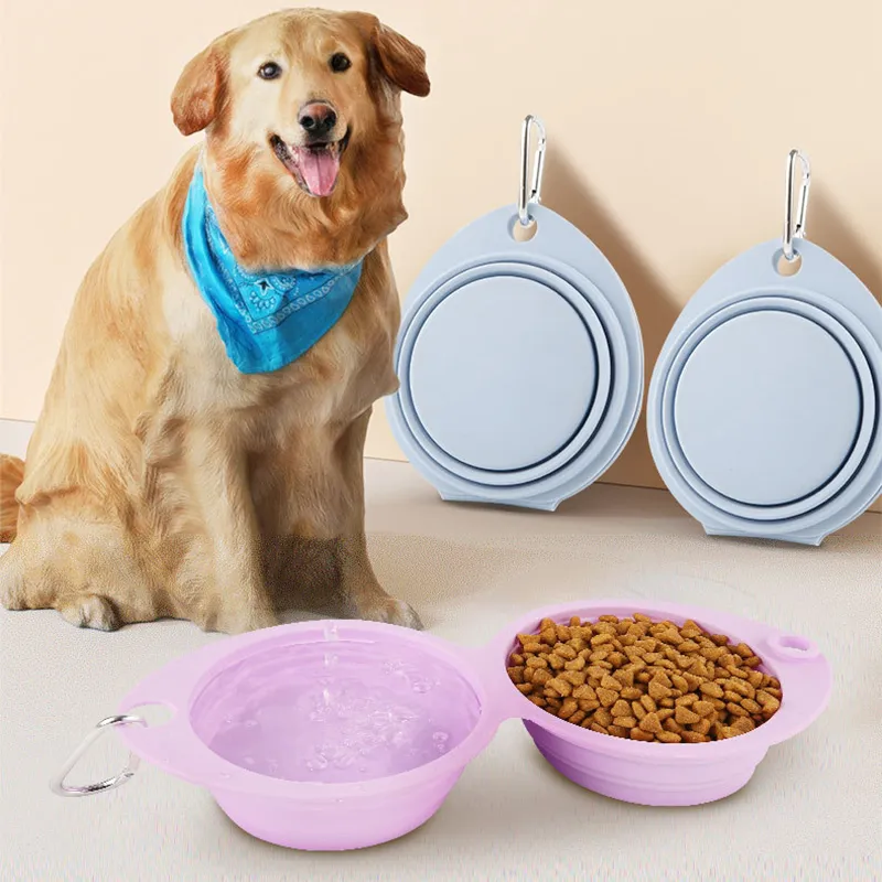 Travel Dog Dinner Set